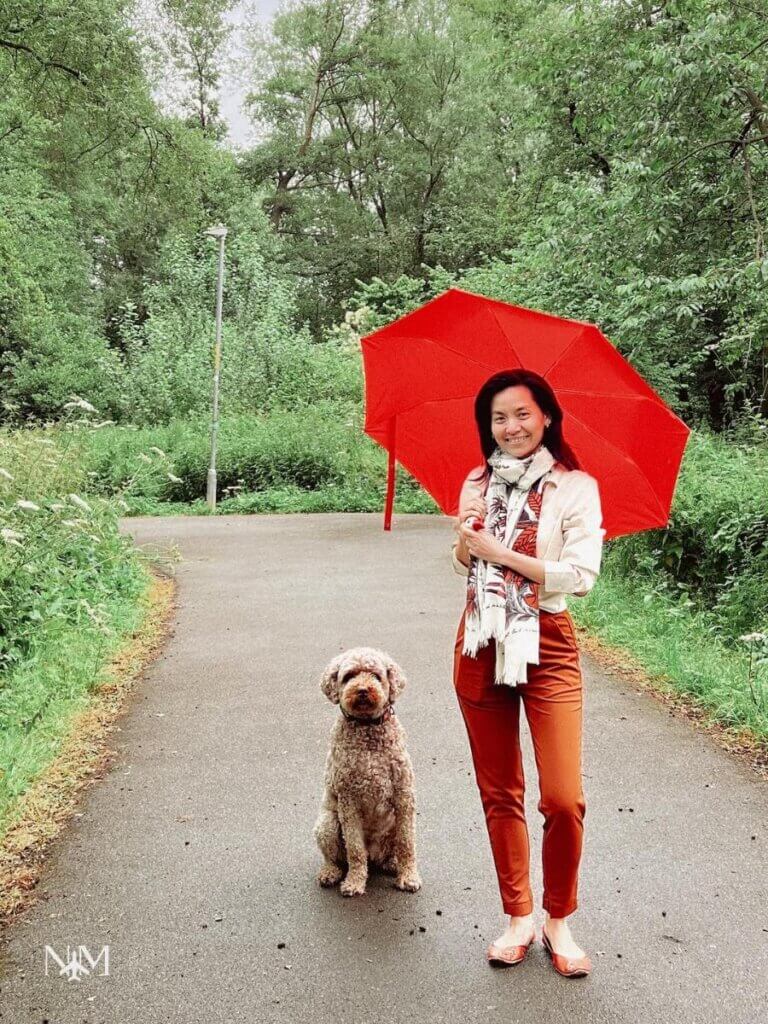 pet sitting the labradoodle Lexie in the English countryside on one of our many walks 