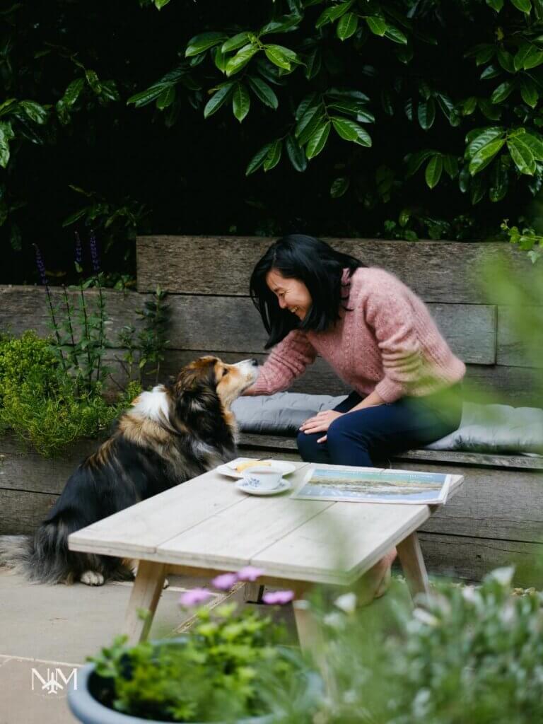 Pet sitting - the ultimate guide
