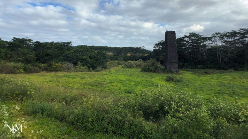 beautiful lush countryside village of Chamarel in Mauritius.